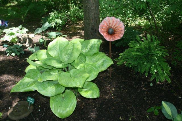 Doyle_Garden_3.jpg