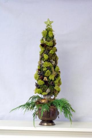 MOSS_TREE.JPG