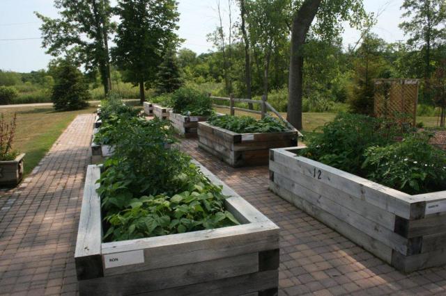 Senior_Center_02.jpg